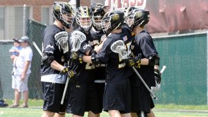 towson tigers